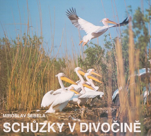 Schůzky v divočině