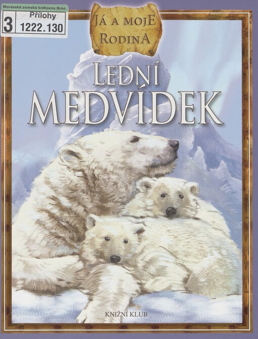 Lední medvídek