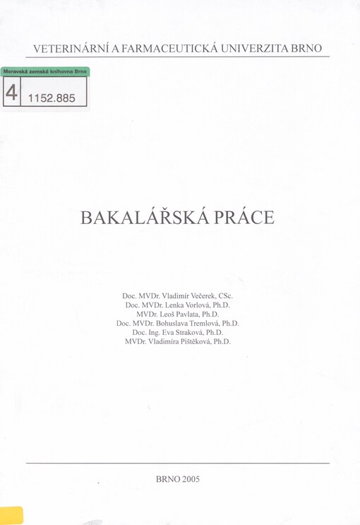 Bakalářská práce