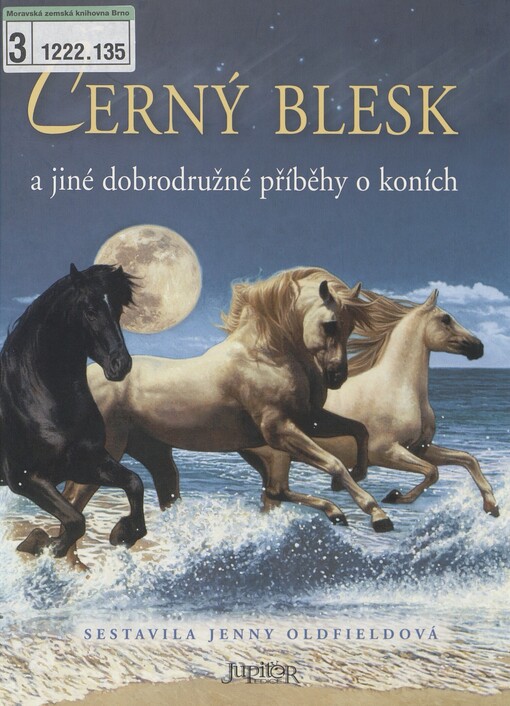 Černý blesk a jiné dobrodružné příběhy o koních