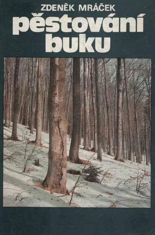 Pěstování buku