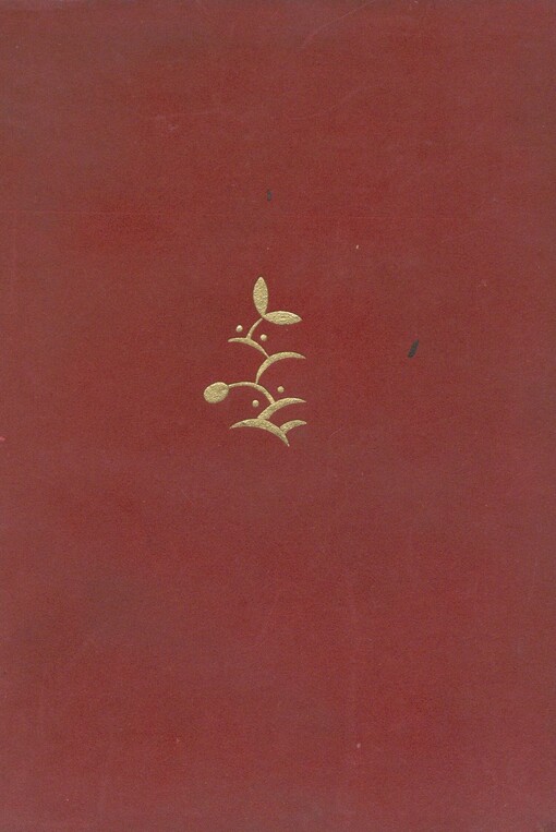 Muž dvou duší: román