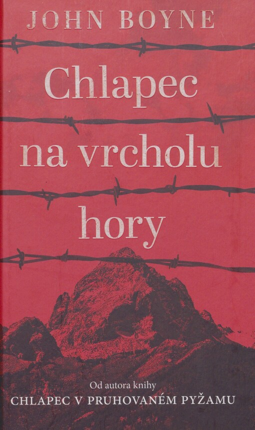 Chlapec na vrcholu hory