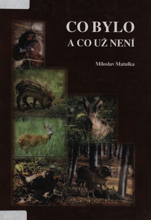 Co bylo - a co už není