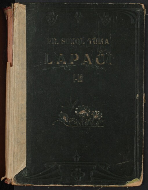 Lapači: původní román o 3 knihách. 1