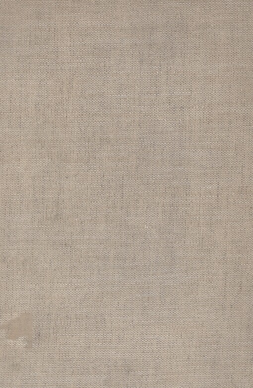 Brünn: Geschichte und Kultur