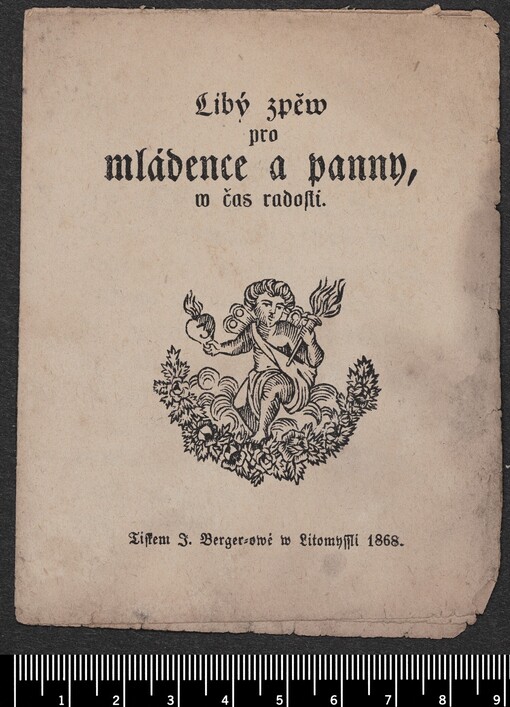 Libý zpěw pro mládence a panny, w čas radosti