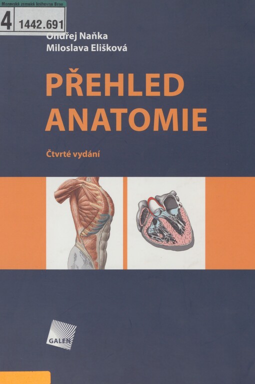 Přehled anatomie