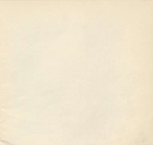 Ludmila Jiřincová: Výběr z díla : Katalog výstavy: Praha, květen-červen 1981 - Karlovy Vary, červen-červenec 1981 - Plzeň, říjen-listopad 1981