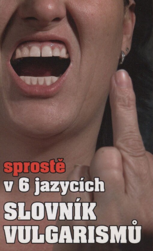 Slovník vulgarismů: sprostě v 6 jazycích