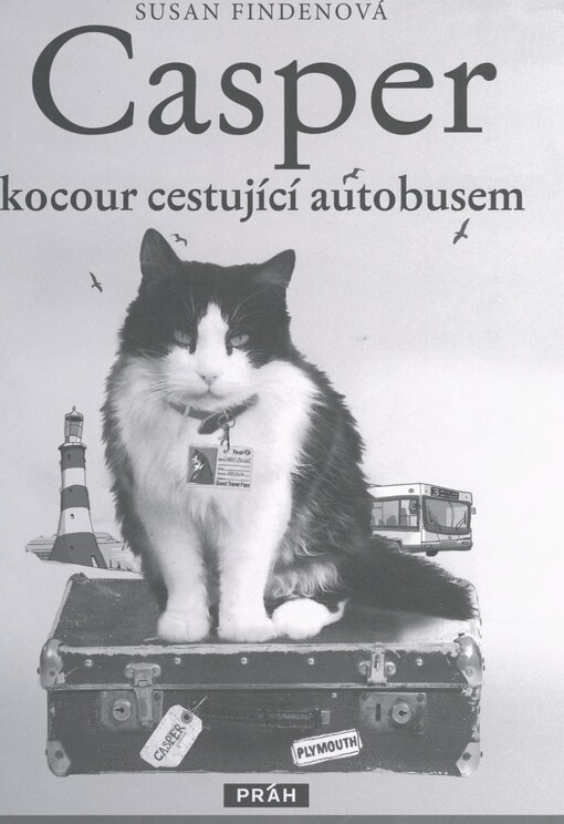 Casper, kocour cestující autobusem: skutečný příběh čtyřnohého pasažéra
