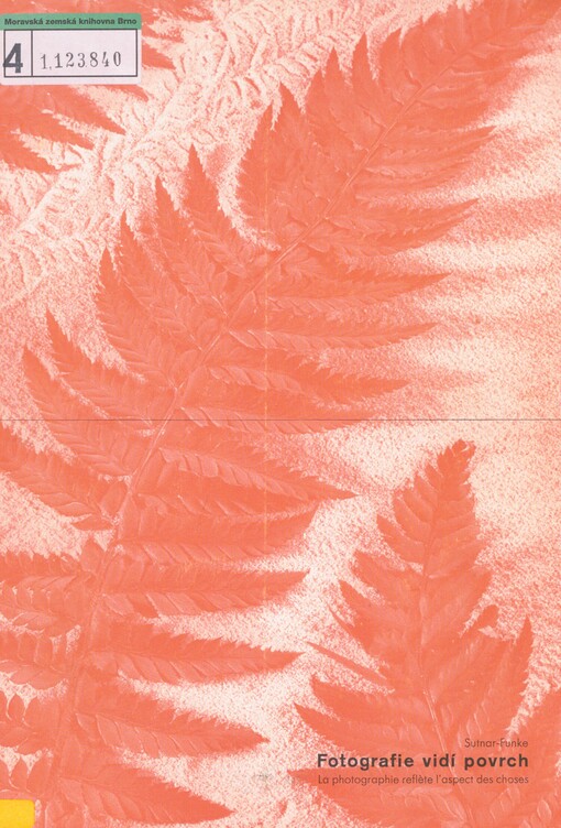 Fotografie vidí povrch =: <<La >>photographie reflète l´aspect des choses