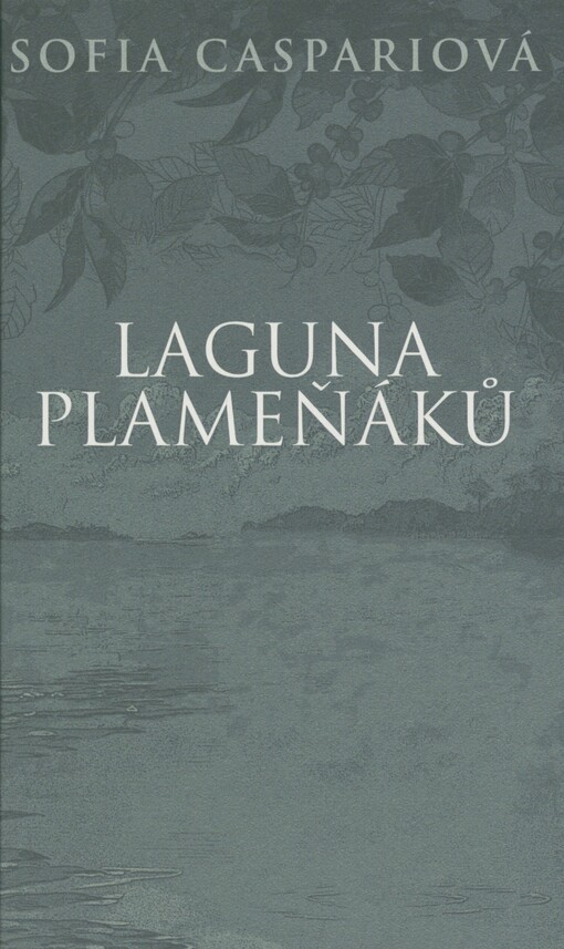 Laguna plameňáků
