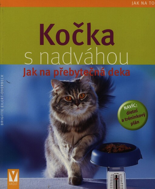 Kočka s nadváhou: jak na přebytečná deka