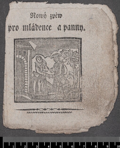 Nowý zpěw pro mládence a panny