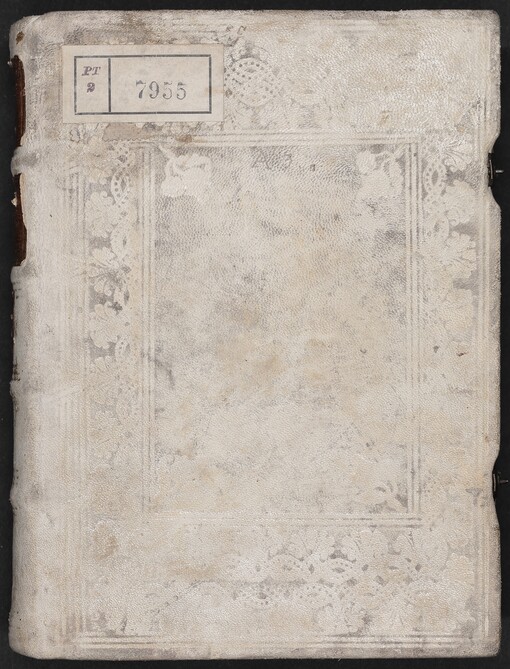 Mammotrectus super Bibliam