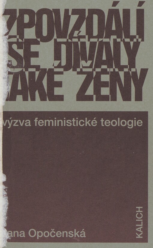 Zpovzdálí se dívaly také ženy: výzva feministické teologie