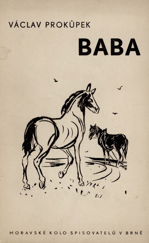 Baba: román ze života koní