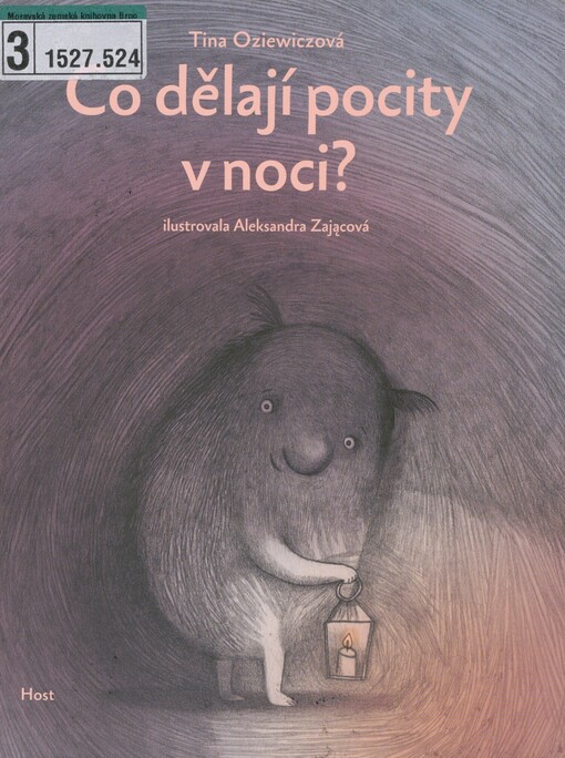 Co dělají pocity v noci?