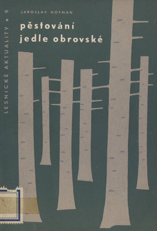 Pěstování jedle obrovské