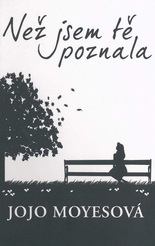 Než jsem tě poznala