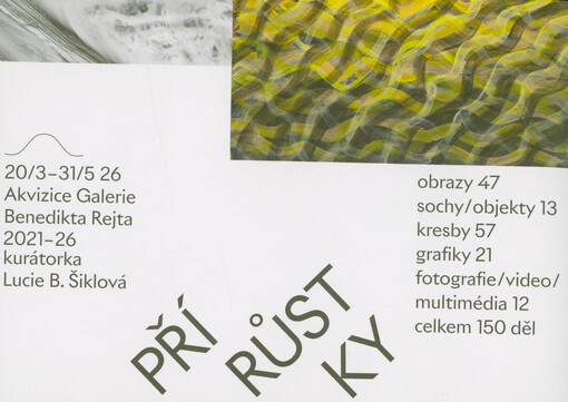 Přírůstky : 20.3.-21.5.26, Akvizice Galerie Benedikta Rejta 2021-26