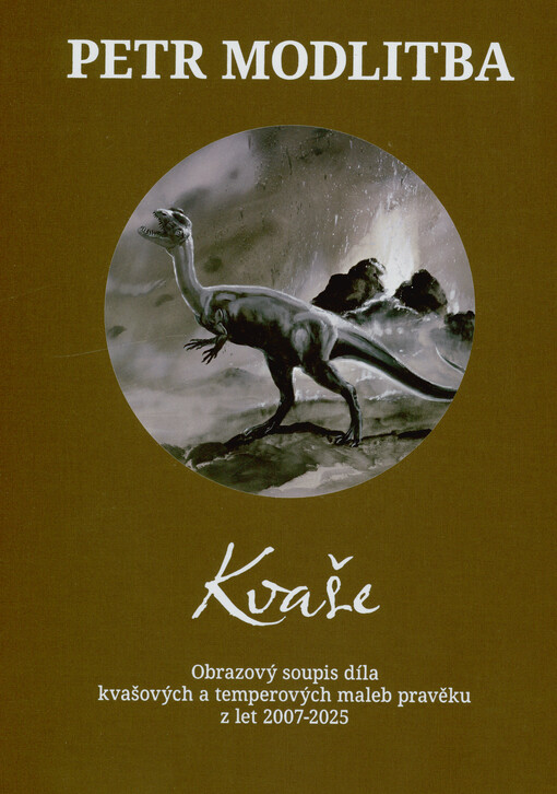 Kvaše : obrazový soupis díla kvašových a temperových maleb pravěku z let 2007-2025