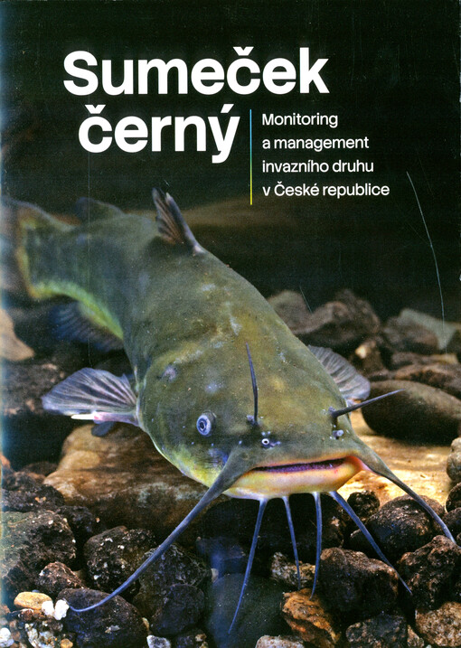 Sumeček černý : monitoring a management invazního druhu v České republice