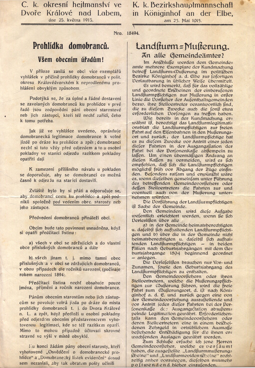 Prohlídka domobranců = Landsturm=Musterung