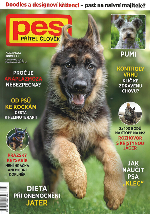 Pes přítel člověka : časopis pro chov a výcvik psů všech plemen