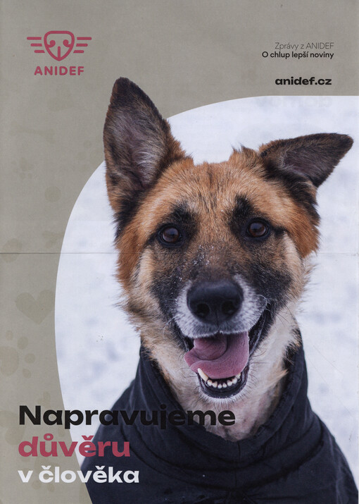 Zprávy z Anidef : o chlup lepší noviny