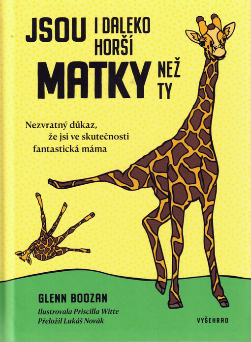 Jsou i daleko horší matky než ty : nezvratný důkaz, že jsi ve skutečnosti fantastická máma