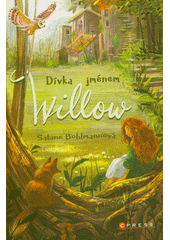 Dívka jménem Willow  (odkaz v elektronickém katalogu)