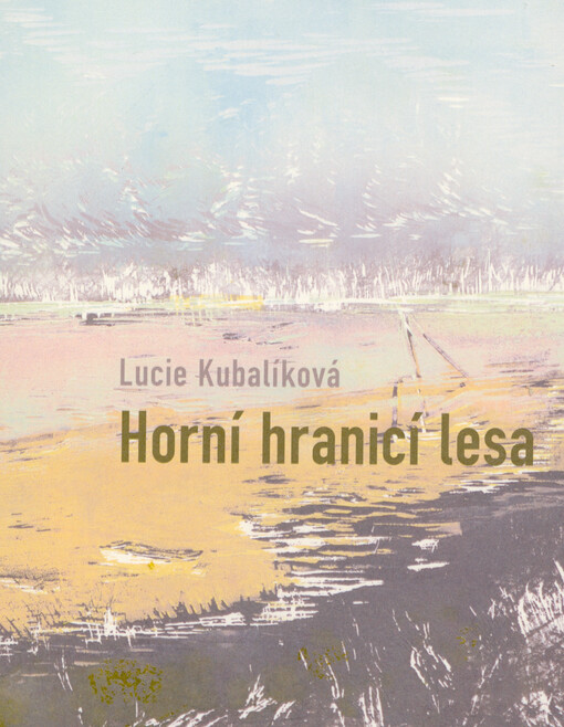 Horní hranicí lesa