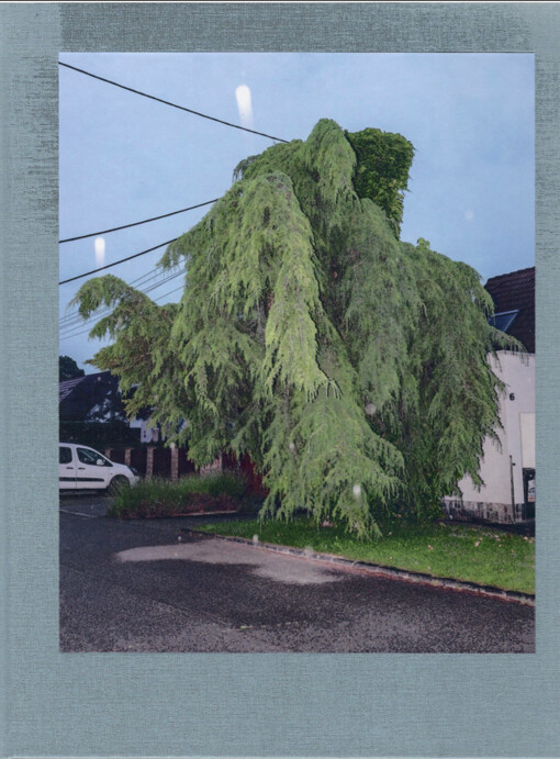 Lonely Planet Trnávka