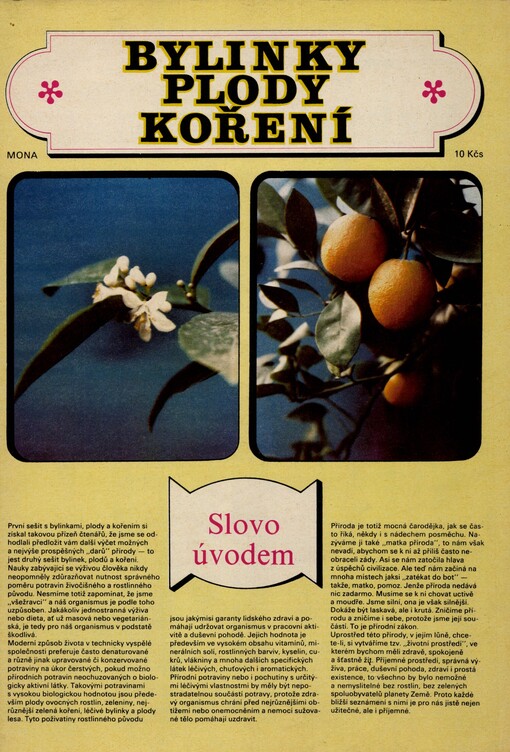 Bylinky, plody, koření