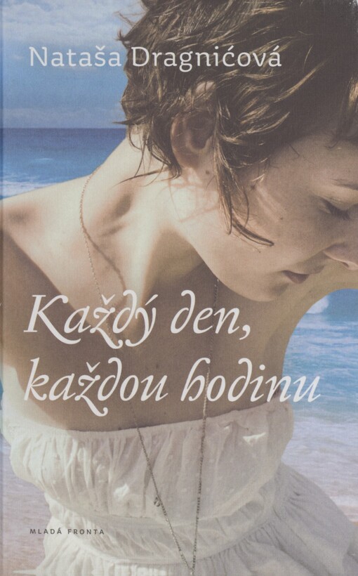 Každý den, každou hodinu: román