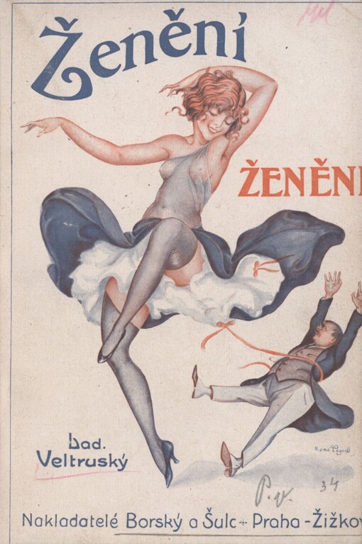 Ženění, ženění: humoresky