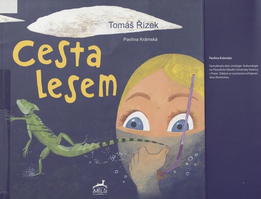 Cesta lesem
