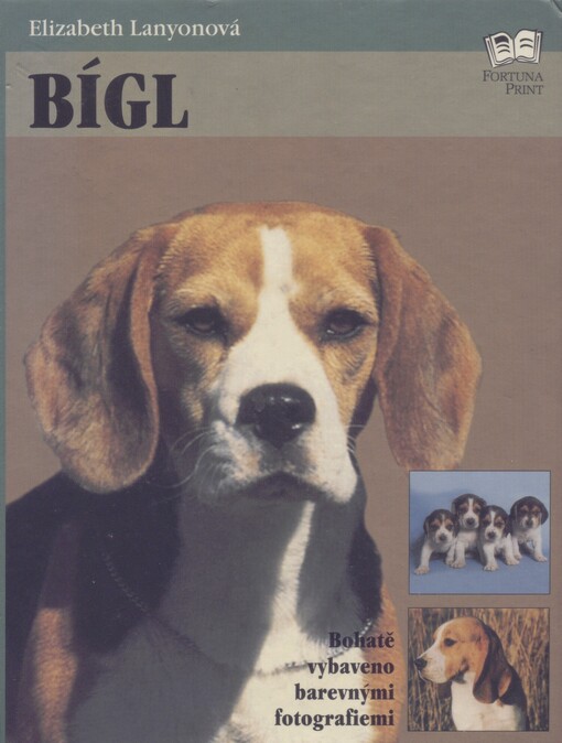 Bígl