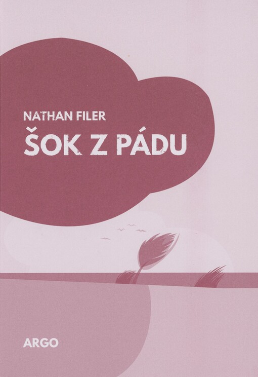 Šok z pádu