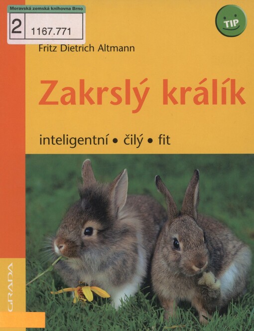 Zakrslý králík: inteligentní, čilý, fit