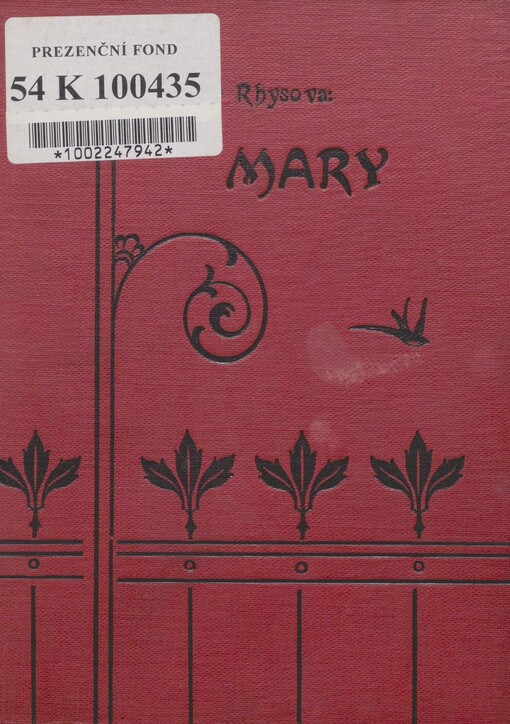 Mary: román z Irska