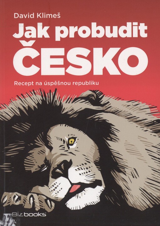 Jak probudit Česko: recept na úspěšnou republiku
