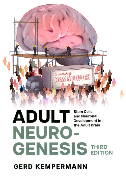 Adult neurogenesis : stem cells and neuronal development in the adult brain