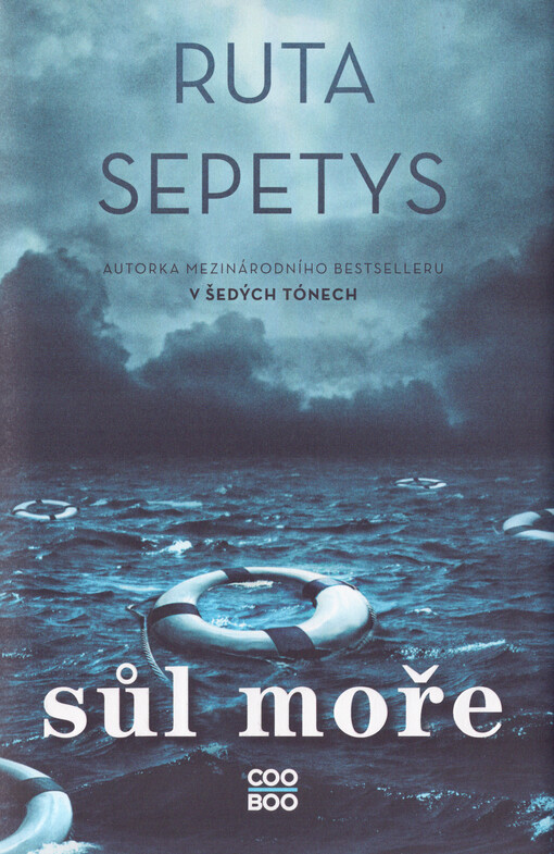 Sůl moře