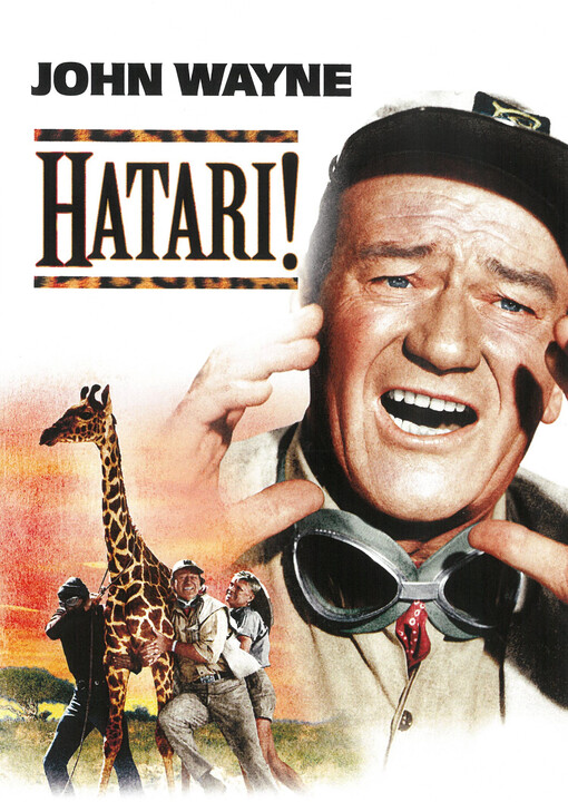 Hatari!