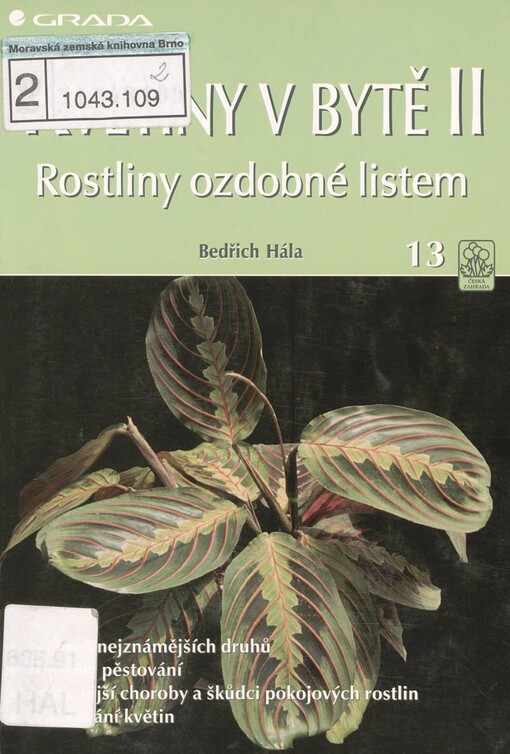Květiny v bytě. 2. Rostliny ozdobené listem