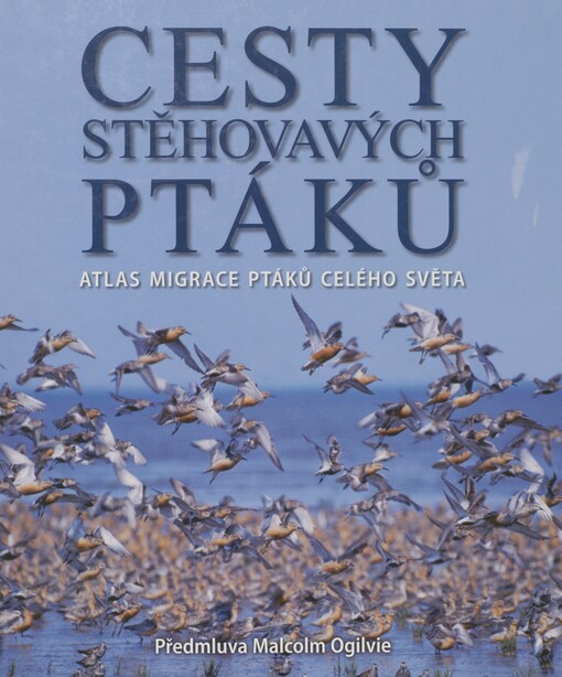 Cesty stěhovavých ptáků: atlas migrace ptáků celého světa