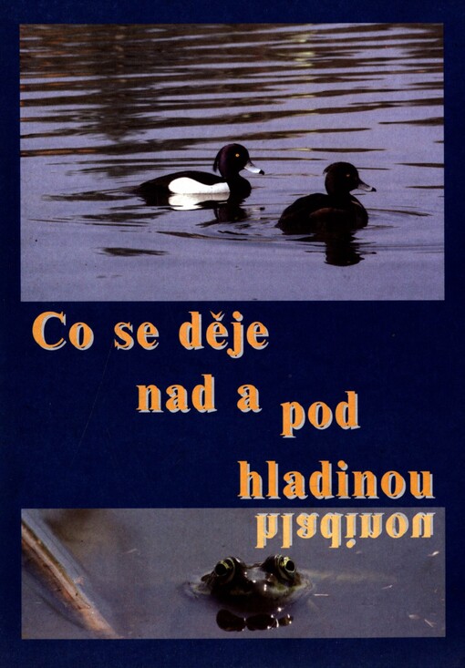 Co se děje nad a pod hladinou: [katalog k výstavě